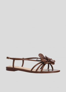 TULIPA FLATS
