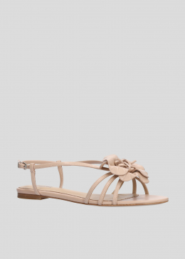 TULIPA FLATS
