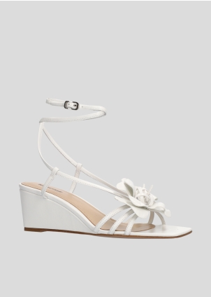 TULIPA PLATFORM 55